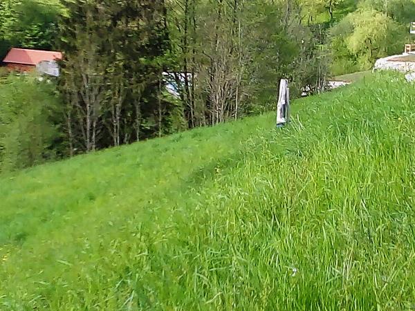 Günstige Baugründe in sonniger Lage - nur noch 5 Parzellen! Günstige Baugründe in sonniger Lage - nur noch 5 Parzellen!